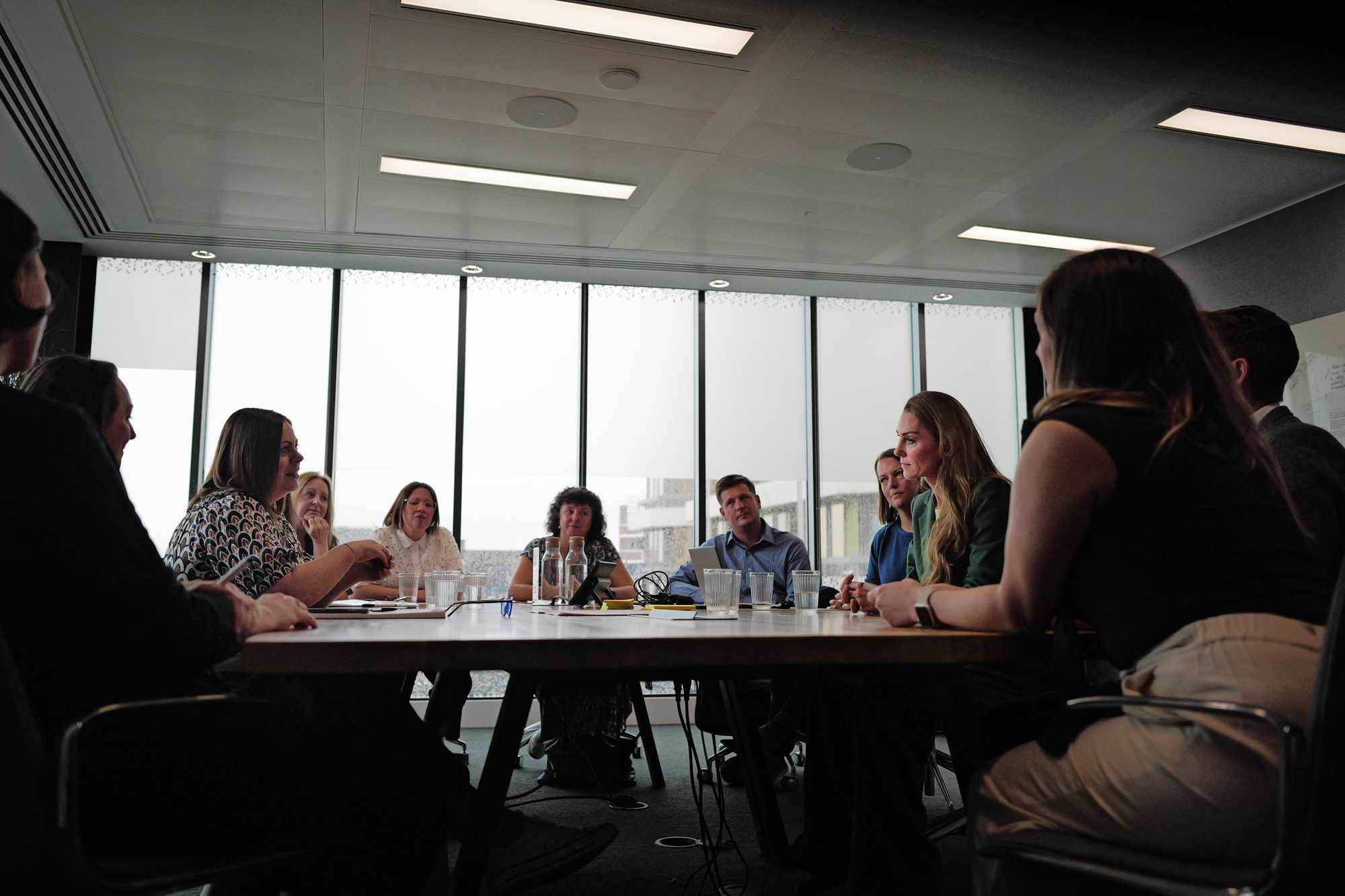 Princess of Wales meeting experts for 