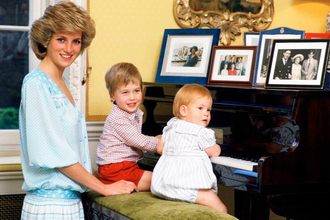 The Unbroken Vow: Princess Diana’s Legacy Lingers Amidst Her Sons’ Enduring Rift