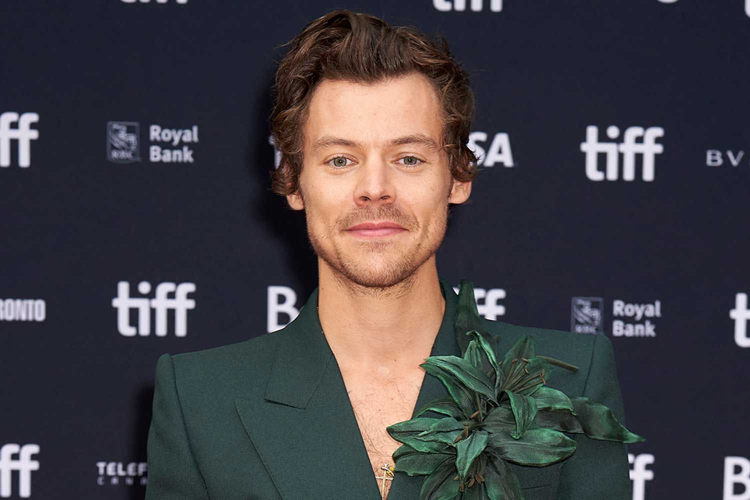 Harry Styles My Policeman Premiere Toronto
