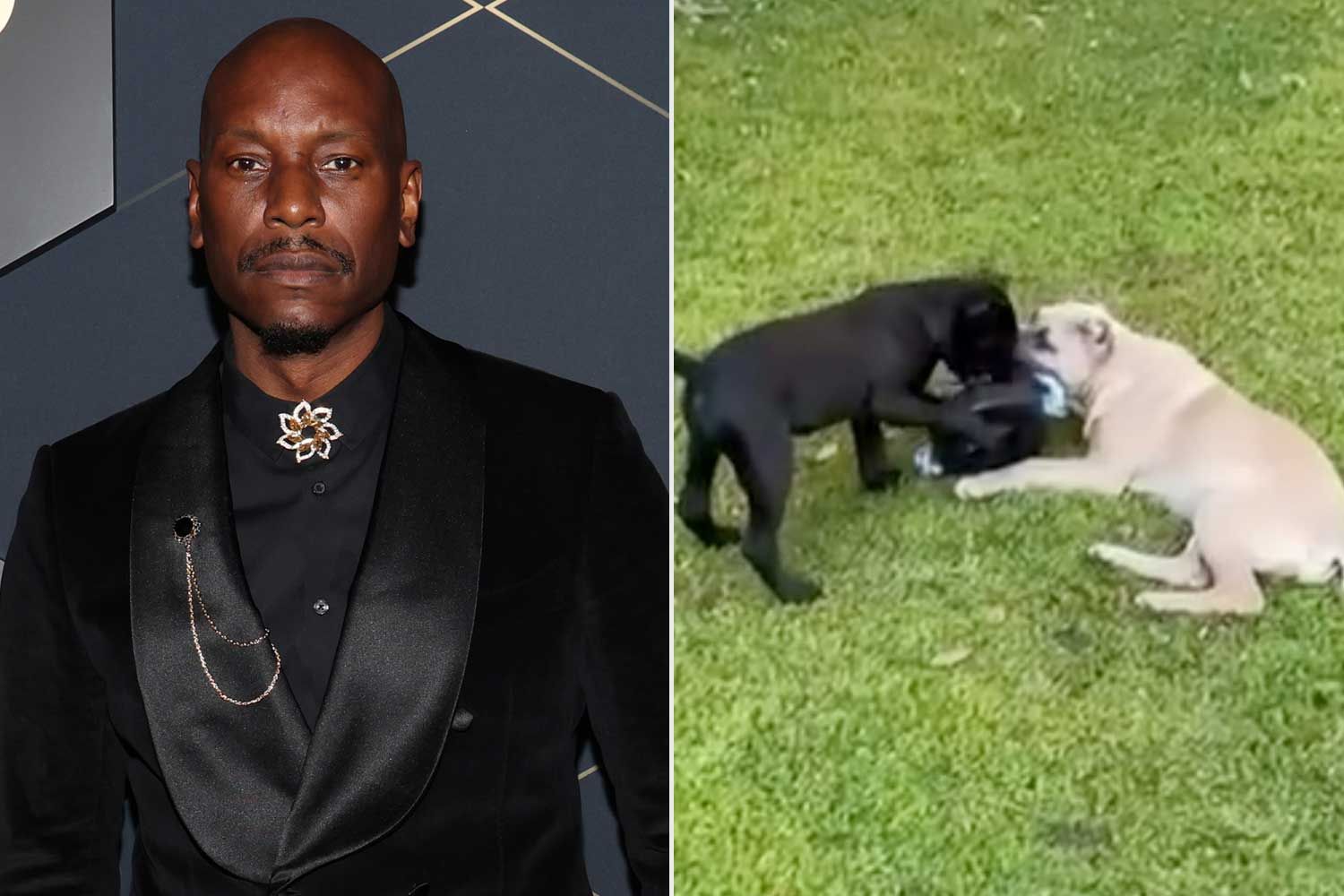 Tyrese Gibson attends the MACRO Pre-Oscars Party
