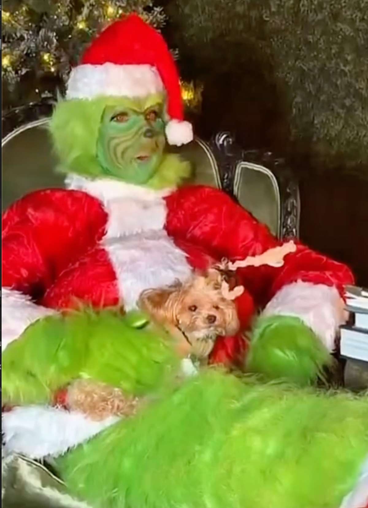 Celine Dion Goes Full Grinch and Sings All by Myself