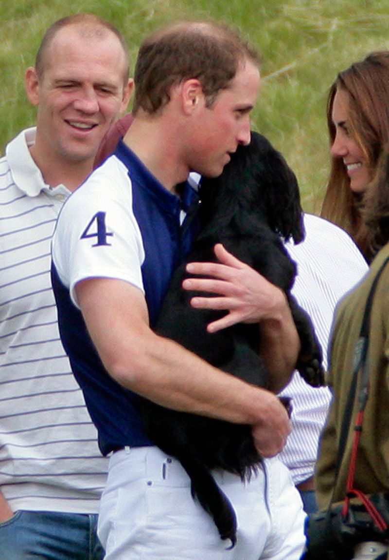Prince William, Duke of Cambridge carries his dog Lupo attend The Golden Metropolitan Polo Club Charity Cup polo match, in which Prince William, Duke of Cambridge and Prince Harry played, at the Beaufort Polo Club on June 17, 2012 in Tetbury
