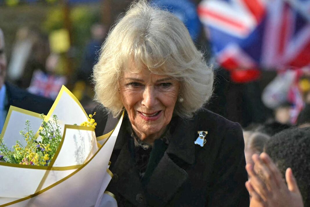 Queen Camilla Pressed on Epstein Scandal Amid Royal Silence and Fresh Document Revelations